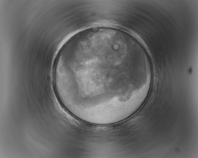 X0000116031339200912111407