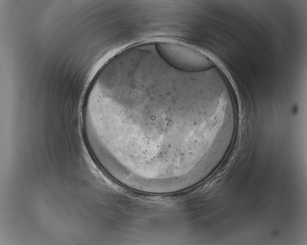 X0000116031341200912111407