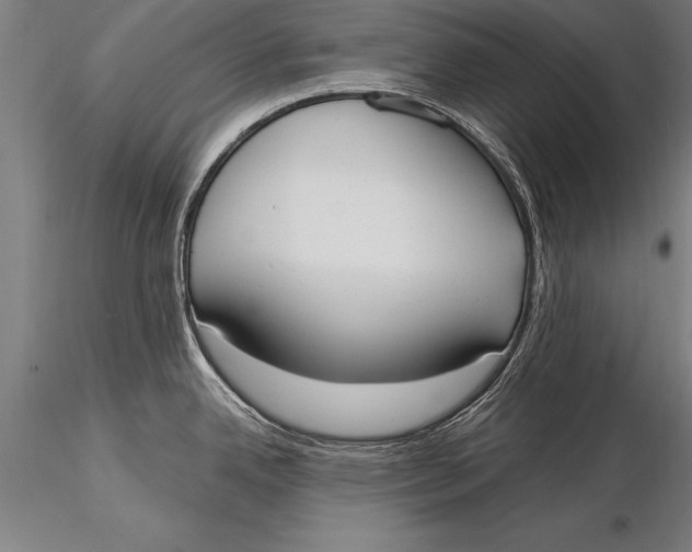 X0000116031342200912111407