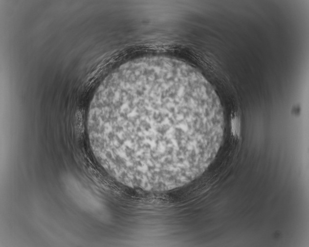 X0000116031347200912111406