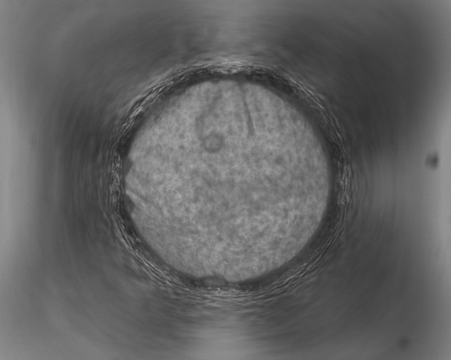 X0000116031349200912111406