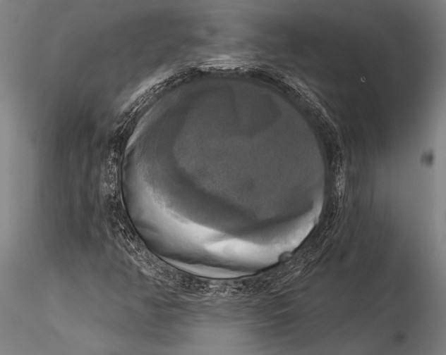 X0000116031350200912111406