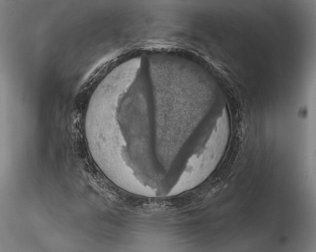 X0000116031351200912111406