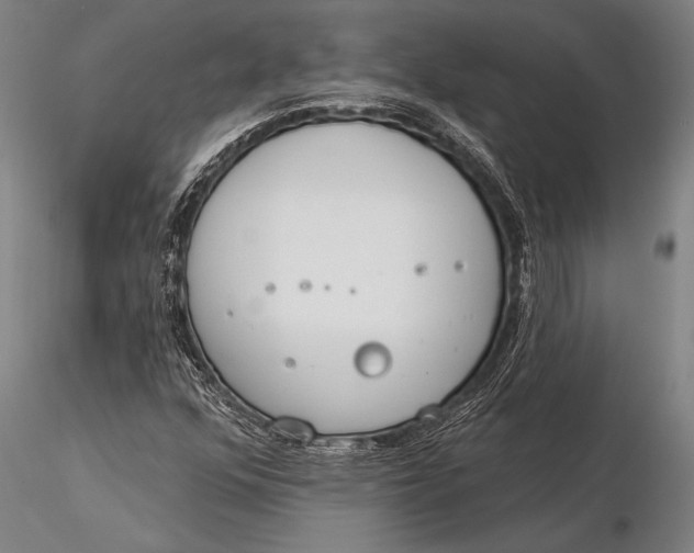 X0000116031352200912111406