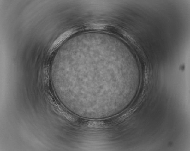 X0000116031354200912111406