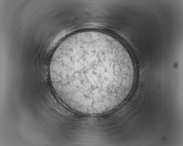 X0000116031355200912111406