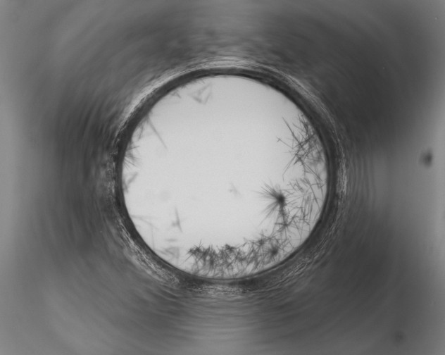 X0000116031356200912111406