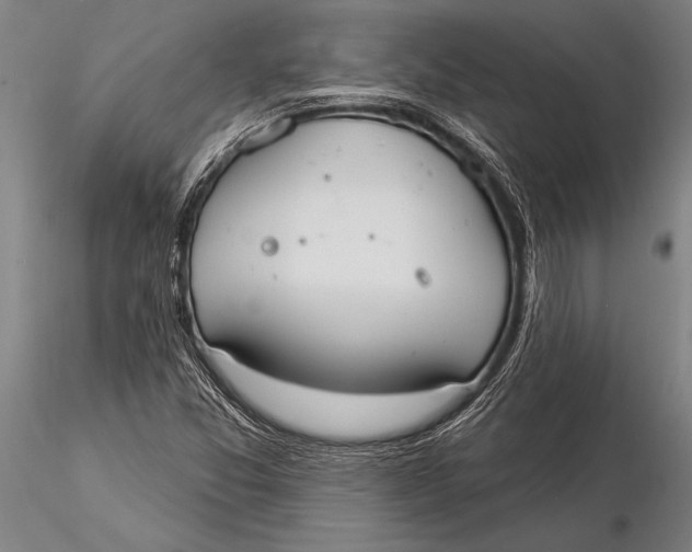 X0000116031357200912111406