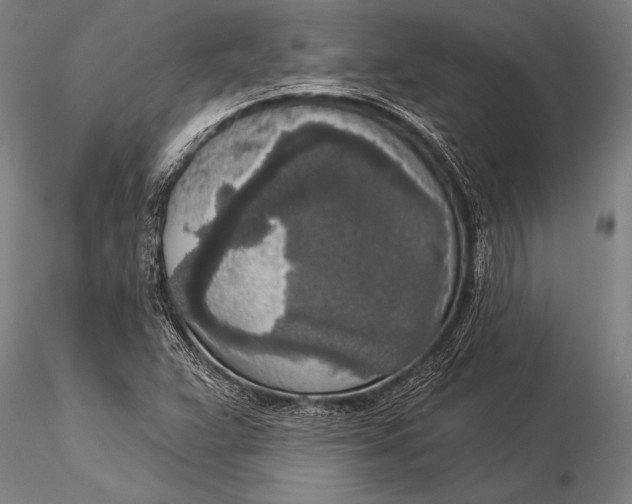 X0000116031359200912111406