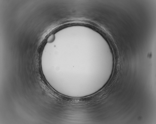 X0000116031360200912111406