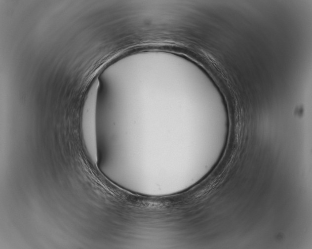 X0000116031361200912111406