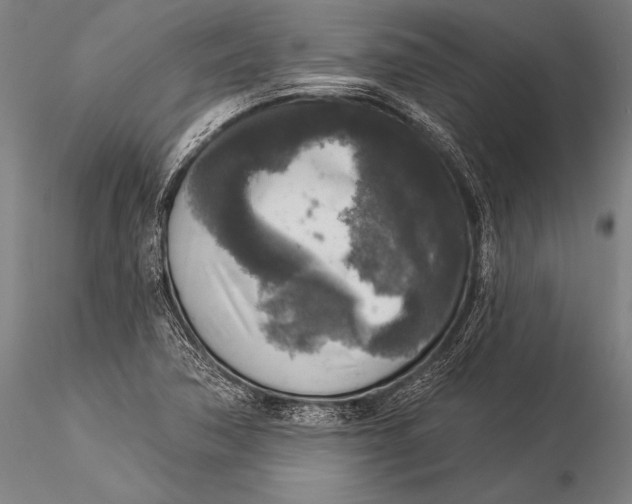 X0000116031362200912111406