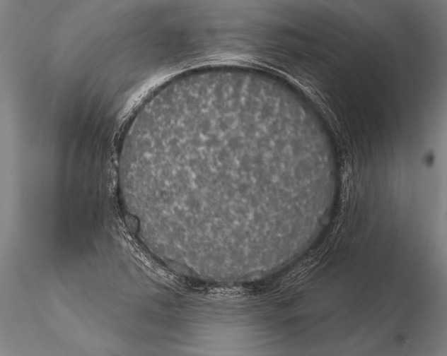 X0000116031363200912111406