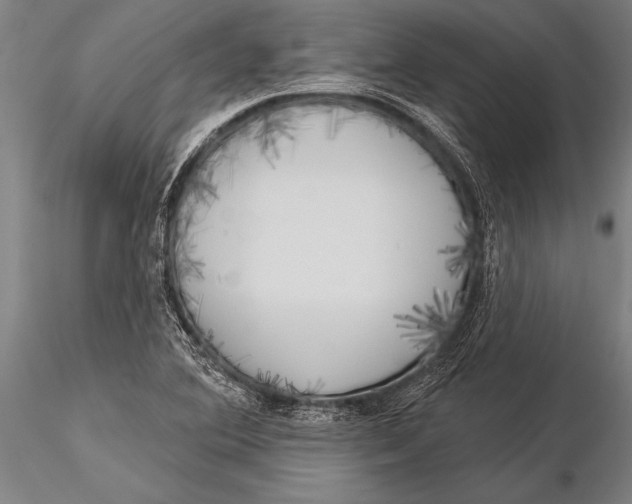 X0000116031364200912111406