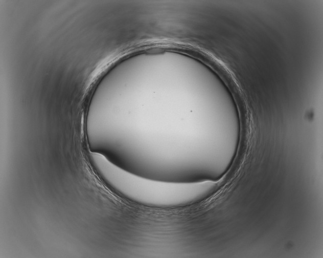 X0000116031365200912111406