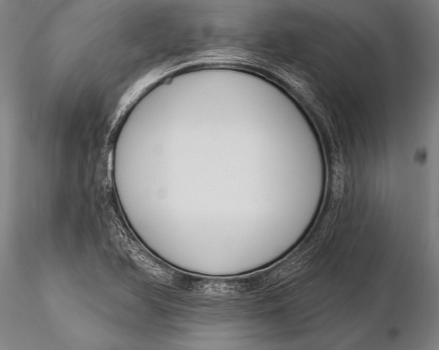 X0000116031366200912111406