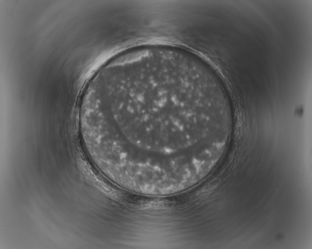 X0000116031367200912111406