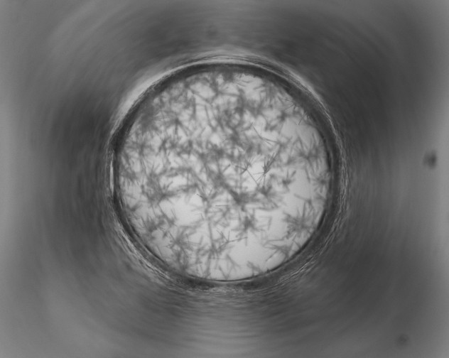 X0000116031368200912111406