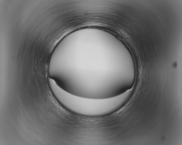 X0000116031369200912111406