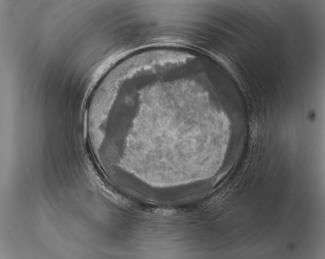 X0000116031371200912111406