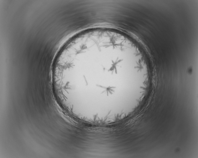 X0000116031372200912111406