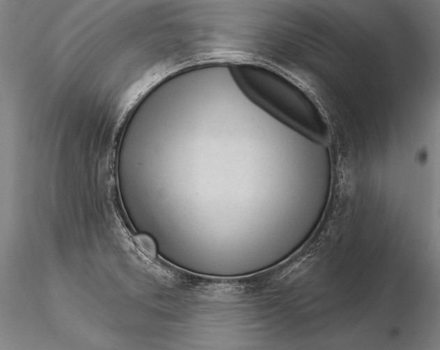 X0000116031373200912111406