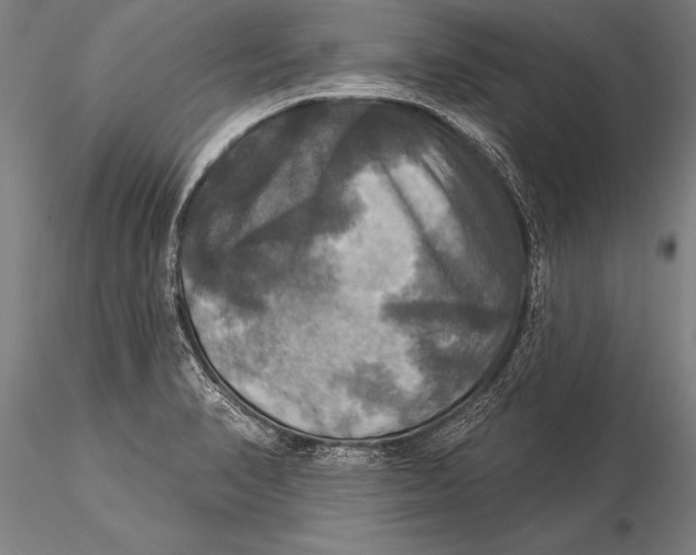 X0000116031374200912111406