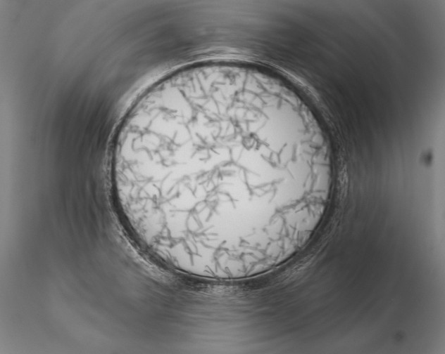 X0000116031375200912111406