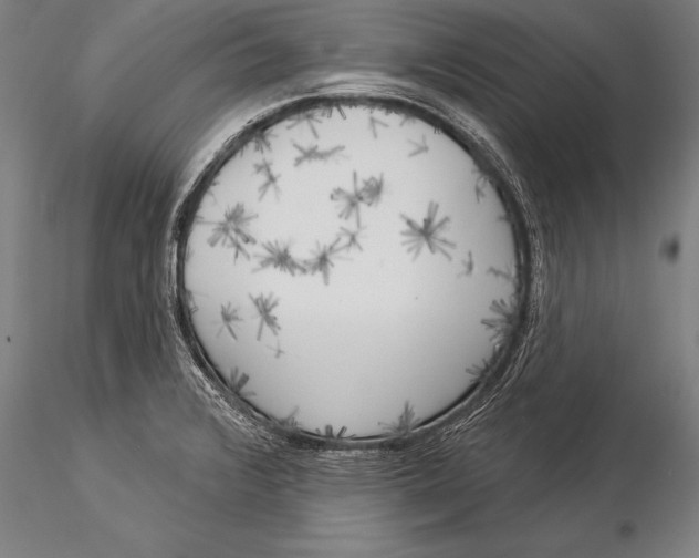 X0000116031376200912111406