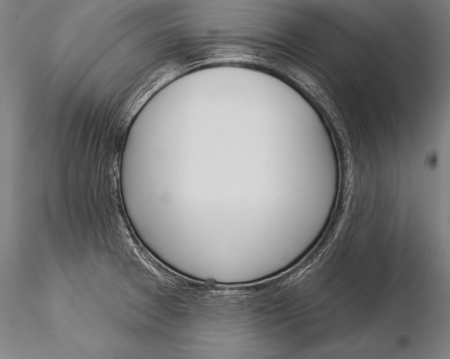 X0000116031377200912111406