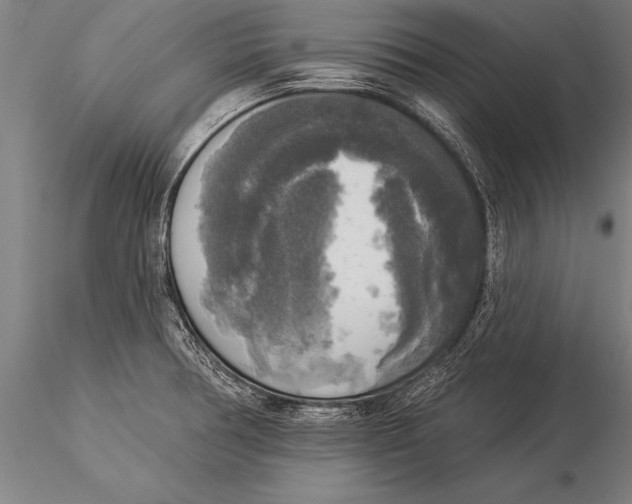 X0000116031378200912111406