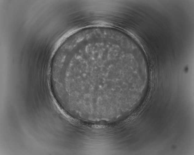 X0000116031379200912111406