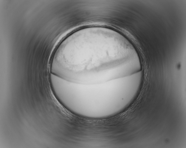 X0000116031380200912111406