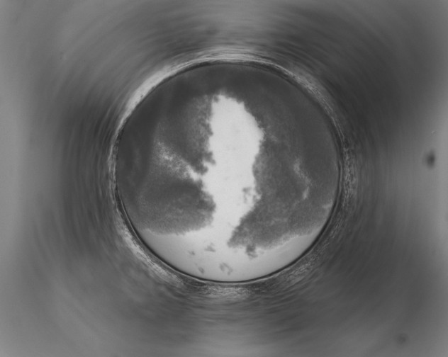 X0000116031382200912111405