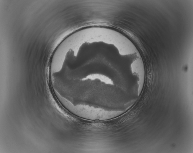 X0000116031383200912111405