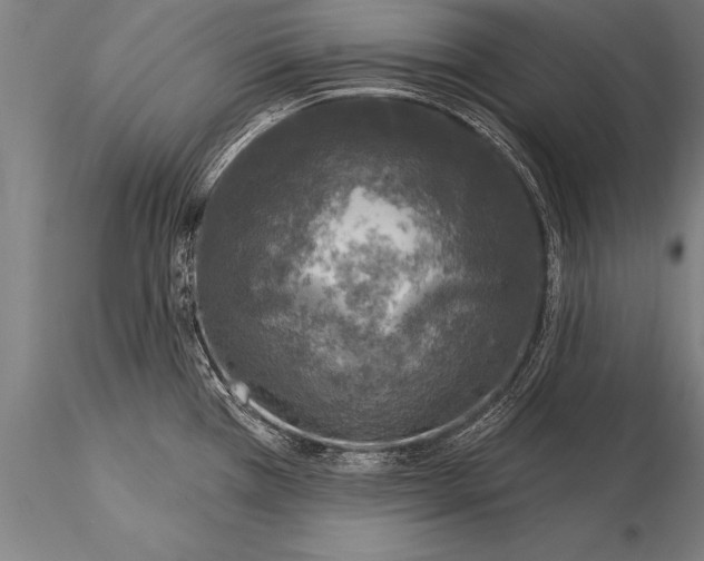 X0000116031385200912111405