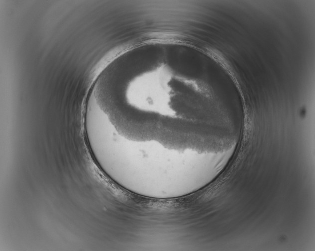 X0000116031386200912111405