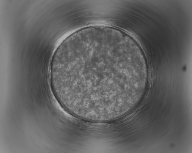 X0000116031387200912111405