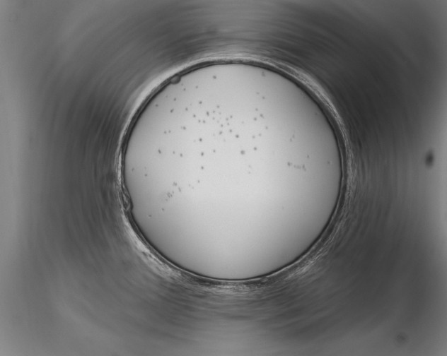 X0000116031388200912111405