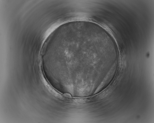 X0000116031389200912111405