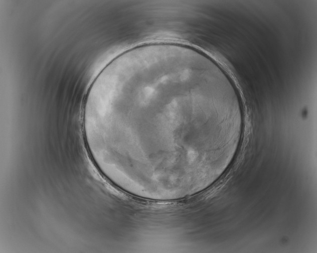 X0000116031390200912111405