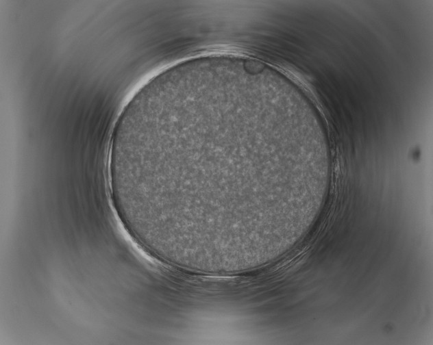 X0000116031391200912111405