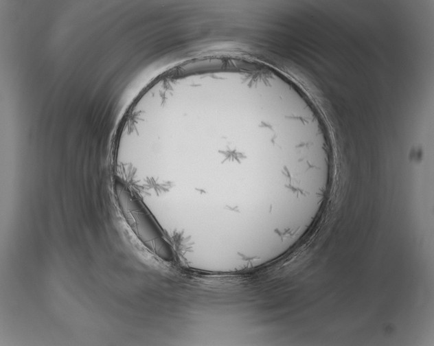 X0000116031392200912111405