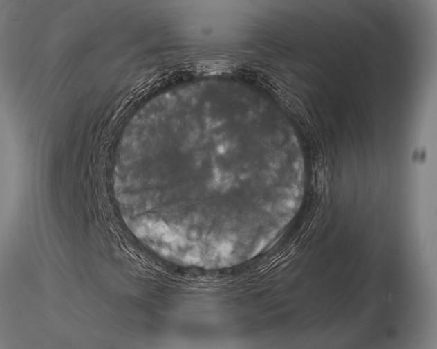 X0000116031393200912111405