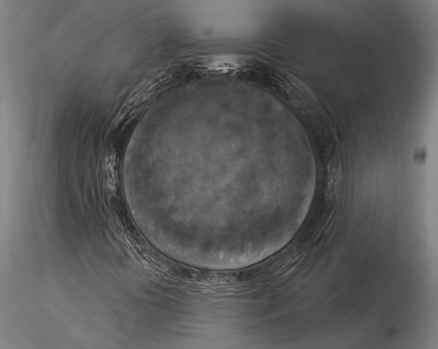 X0000116031394200912111405