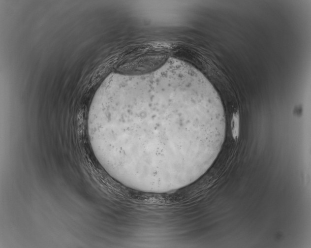 X0000116031395200912111405