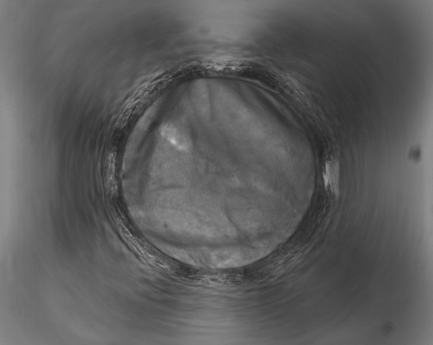 X0000116031396200912111405