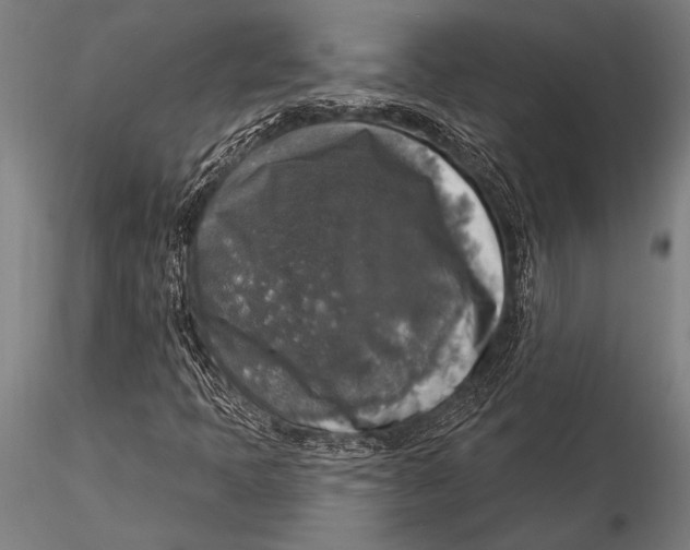 X0000116031397200912111405