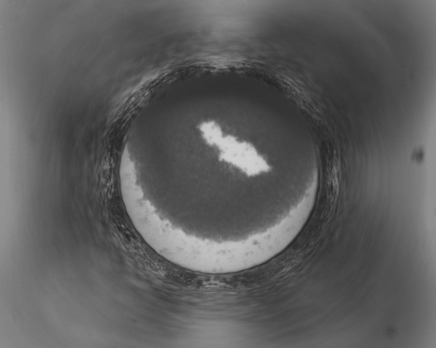 X0000116031398200912111405