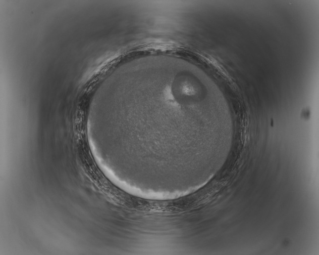 X0000116031399200912111405